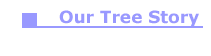 Our_Tree_Story