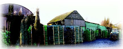 The Depot at the start of the season