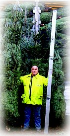 Some trees are so large we have to get a larger stick to measure them