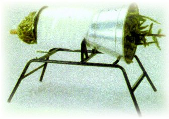 CHRISTMASTREEPACKINGMACHINE